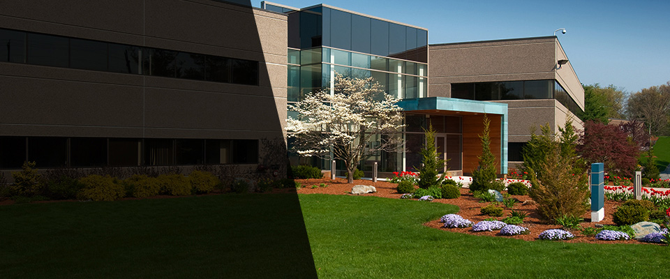 Ringwood Landscapers