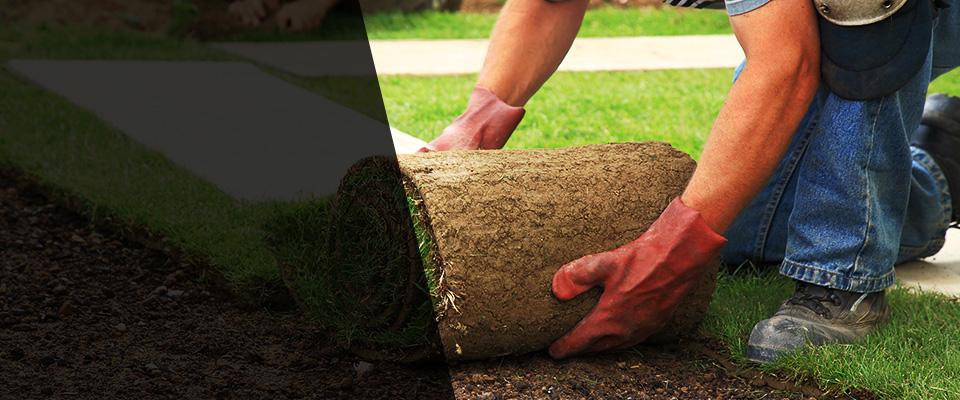 Ringwood Landscapers